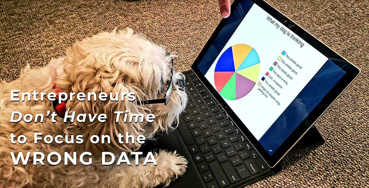image of a dog looking at a computer screen of data as a play on how to find the right data for your marketing